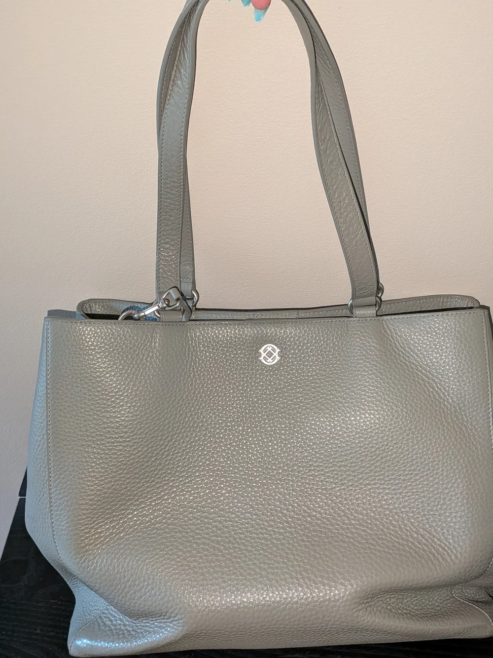 Dagne Dover Gray Pebbled Leather Allyn Tote